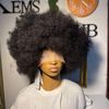 hairvendor_stylist_in_ib