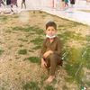 sakhawat.ali3830