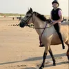 x.ponyhofaagekerkte.x