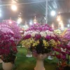 _ninhhuyen10_