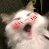 embehaykho0