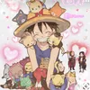 user293168657