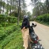 tiaradwiananda3