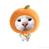 kaonou_lud11