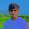 gul_hassan_wazir934