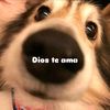 valeeccita