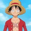 luffy_13345