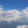 micalef_