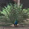 radek__73