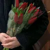xg_j34