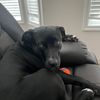 sassyqueen604