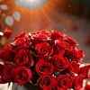 roaa.ro2