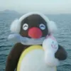 konekon3t