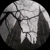 dark_blood029