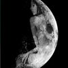 reddragon_moon
