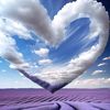 purple._cat22