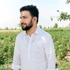 Zargham Abbas Mallhi