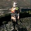 .chieffiqp