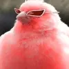 xxminigameurx520