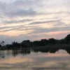 whyy_209