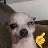 _ellysmacena
