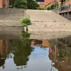 lenchyme
