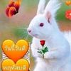 user956l5g5u3u