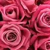 celiacelia5759