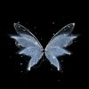 miracle_thyc
