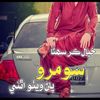 shareefbacha1100