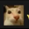 adrianoacosta5