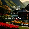 mssk8l0umujeeb898