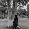 ayatnoor383
