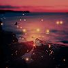 vera_rosemary