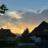alinaseidlmari