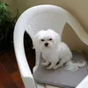 anca_20052000yaho