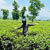 noyon_6009