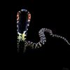 thereptilecentre_