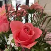 fidan_81._