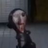 ._.983243