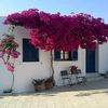 nourhayati224