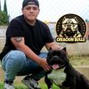 creacion_bulls