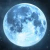 lunitaalbarracin569