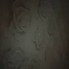 bvshaiwd