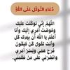 mahmoudnabil254