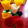 dolpi17_