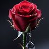 user047399583