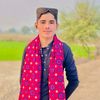 zaminalisoomrozam