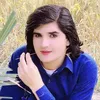 gulliwazir0