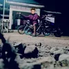 pangi125